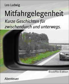 Mitfahrgelegenheit (eBook, ePUB) - Ludwig, Leo