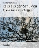 Raus aus den Schulden (eBook, ePUB)