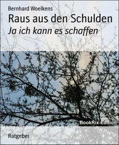 Raus aus den Schulden (eBook, ePUB) - Woelkens, Bernhard