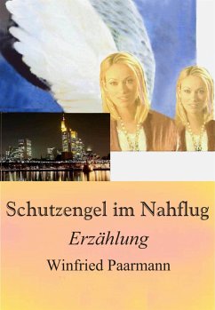 Schutzengel im Nahflug (eBook, ePUB) - Paarmann, Winfried