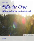 Fülle der Orbs (eBook, ePUB)