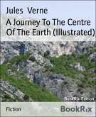 A Journey To The Centre Of The Earth (Illustrated) (eBook, ePUB)
