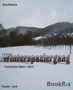 Cover Winterspaziergang (eBook, ePUB)