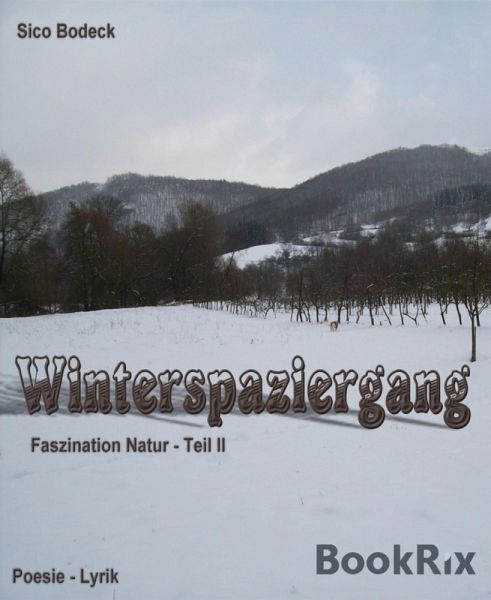 Winterspaziergang (eBook, ePUB)