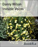 Invisible Voices (eBook, ePUB)