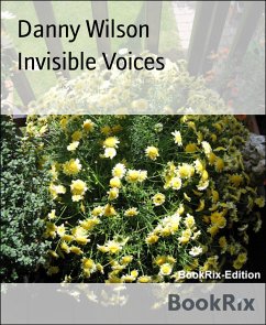 Invisible Voices (eBook, ePUB) - Wilson, Danny