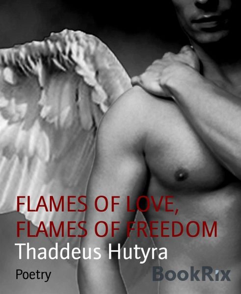 FLAMES OF LOVE, FLAMES OF FREEDOM (eBook, ePUB) FLAMES OF LOVE, FLAMES OF FREEDOM (eBook, ePUB)