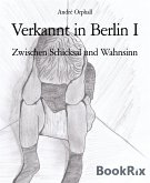 Verkannt in Berlin I (eBook, ePUB)