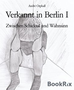 Verkannt in Berlin I (eBook, ePUB) - Orphall, André