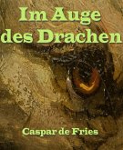 Im Auge des Drachen (eBook, ePUB)