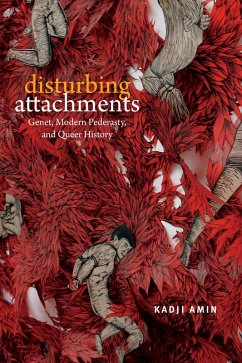 Cover Disturbing Attachments (eBook, PDF)