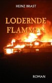 Lodernde Flammen (eBook, ePUB)