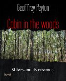 Cabin in the woods (eBook, ePUB)