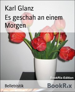 Es geschah an einem Morgen (eBook, ePUB) - Glanz, Karl