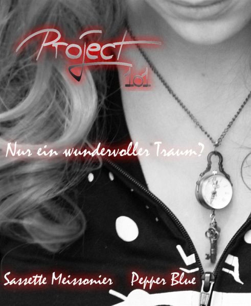 Project 1o1 (eBook, ePUB)