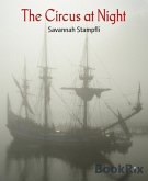 The Circus at Night (eBook, ePUB)
