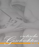 Erotische Geschichten IV (eBook, ePUB)