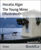 The Young Miner (Illustrated) (eBook, ePUB)