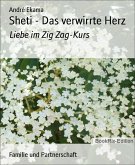 Sheti - Das verwirrte Herz (eBook, ePUB)