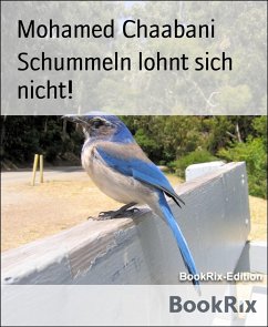 Schummeln lohnt sich nicht! (eBook, ePUB) - Chaabani, Mohamed