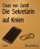 Die Sekretärin auf Knien (eBook, ePUB)