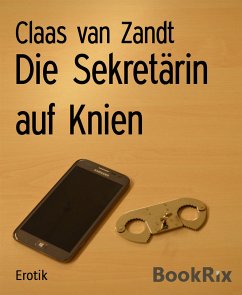 Die Sekretärin auf Knien (eBook, ePUB) - van Zandt, Claas