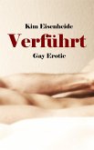 Verführt (eBook, ePUB)