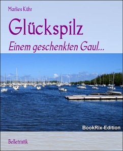 Glückspilz (eBook, ePUB) - Kühr, Marlies