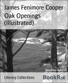 Oak Openings (Illustrated) (eBook, ePUB)