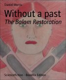 Without a past (eBook, ePUB)