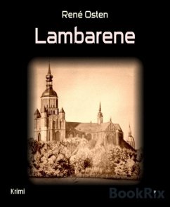 Lambarene (eBook, ePUB) - Osten, René