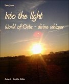 Into the light (eBook, ePUB)