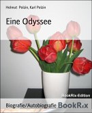 Eine Odyssee (eBook, ePUB)