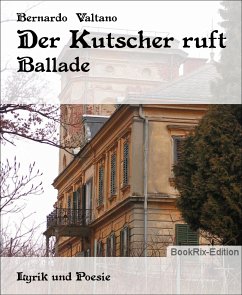 Der Kutscher ruft (eBook, ePUB) - Valtano, Bernardo