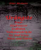 Urängste (eBook, ePUB)