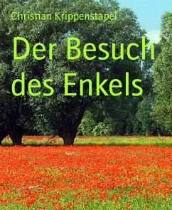 Der Besuch des Enkels (eBook, ePUB) - Krippenstapel, Christian