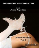 Intime Beichten, erotische Geschichten (eBook, ePUB)