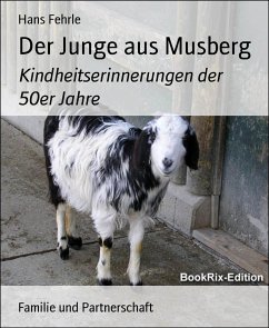 Der Junge aus Musberg (eBook, ePUB) - Fehrle, Hans