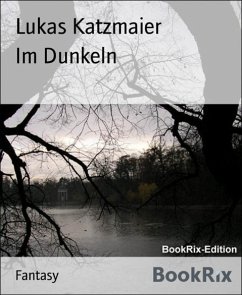Im Dunkeln (eBook, ePUB) - Katzmaier, Lukas