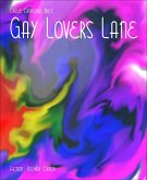 Gay Lovers Lane (eBook, ePUB)