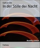 In der Stille der Nacht (eBook, ePUB)