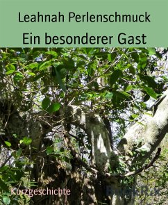 Ein besonderer Gast (eBook, ePUB) - Perlenschmuck, Leahnah