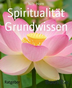 Spiritualität Grundwissen (eBook, ePUB) - Horn, Nils