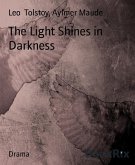 The Light Shines in Darkness (eBook, ePUB)