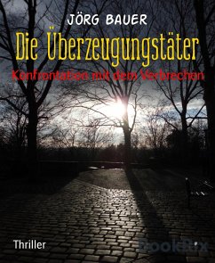 Die Überzeugungstäter (eBook, ePUB) - Bauer, Jörg