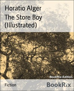 The Store Boy (Illustrated) (eBook, ePUB) - Alger, Horatio