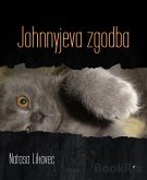 Johnnyjeva zgodba (eBook, ePUB)