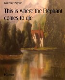 This is where the Elephant comes to die (eBook, ePUB)