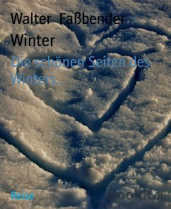 Winter (eBook, ePUB) - Faßbender, Walter