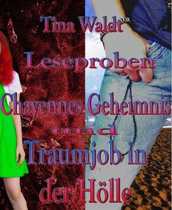 Chayennes Geheimnis/Traumjob in der Hölle (eBook, ePUB) - Waldt, Tina